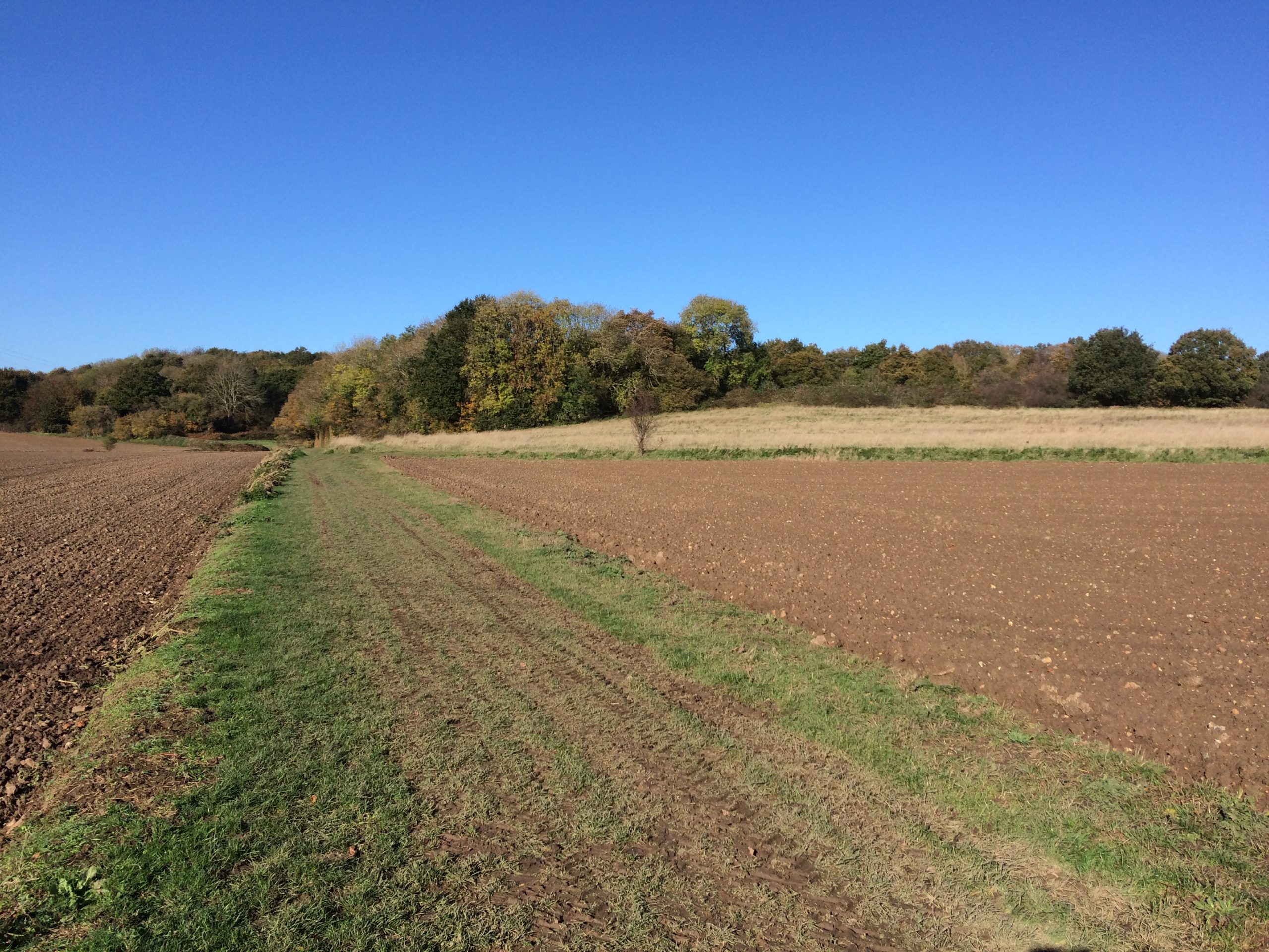 Sturry and Broad Oak Walking Group